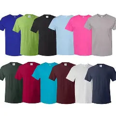 Premium Quality T-Shirt Collection