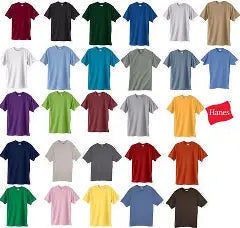Premium Quality T-Shirt Collection